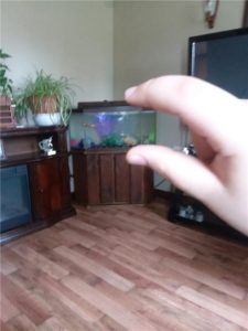 program participant xavier and his pet fish